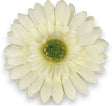 imagine produs Cap gerbera 9.5cm s/24 crem