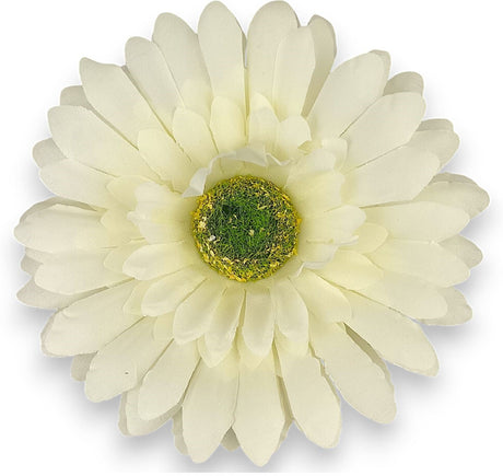imagine produs Cap gerbera 9.5cm s/24 crem