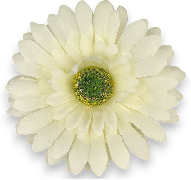 imagine produs Cap gerbera 9.5cm s/24 crem