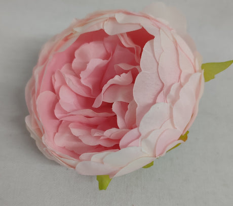 imagine produs Cap peonie 8cm S/24 roz deschis