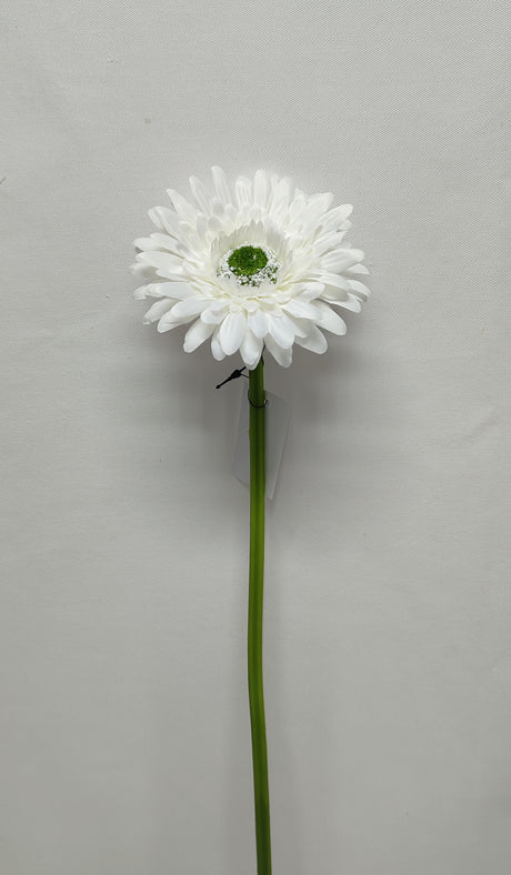 imagine produs Fir gerbera 47cm alb