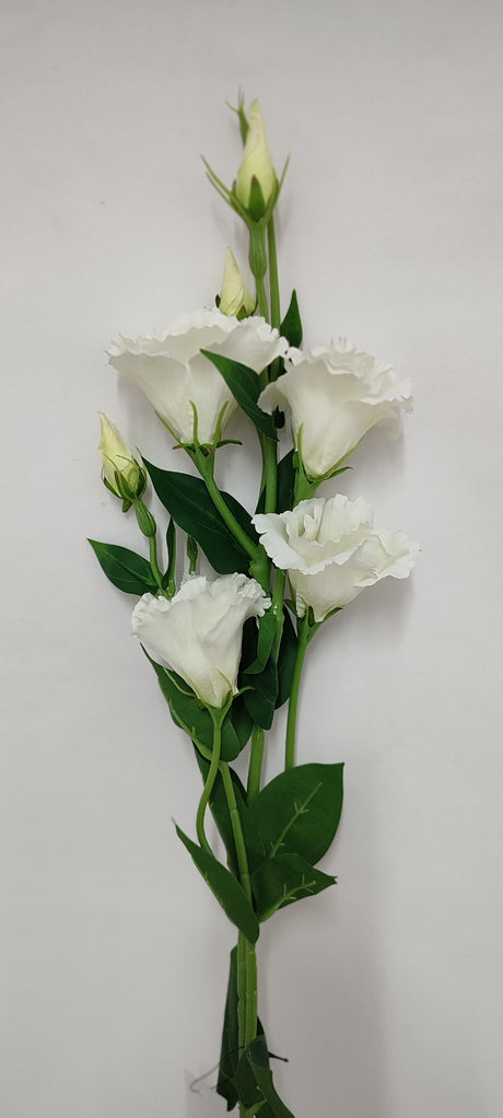 imagine produs Fir lisianthus 80cm 4+3 alb