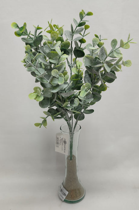 imagine produs Buchet eucalypt x7