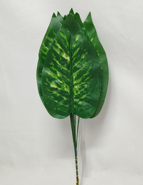 imagine produs Frunze diffenbachia 40cm S/12