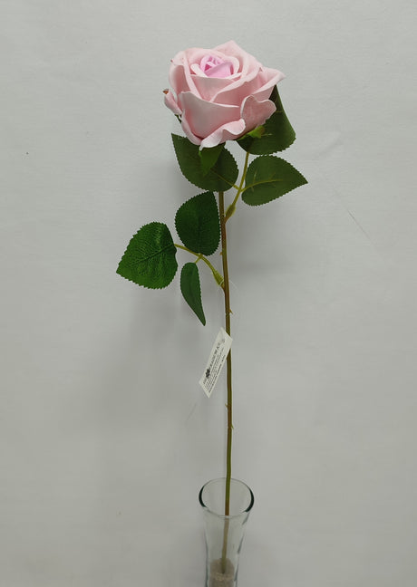 imagine produs Fir trandafiri h52cm