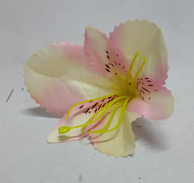 imagine produs Cap astromelia S/24 piersica