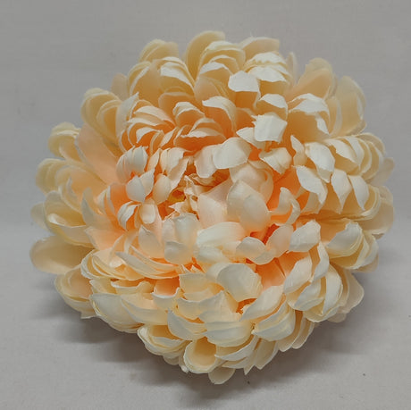 imagine produs Cap crizanteme s/6 piersica deschis
