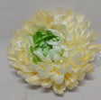 imagine produs Cap crizanteme s/6 galben/verde