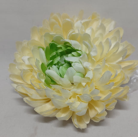 imagine produs Cap crizanteme s/6 galben/verde
