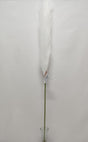 imagine produs Iarba pampas 76cm alb