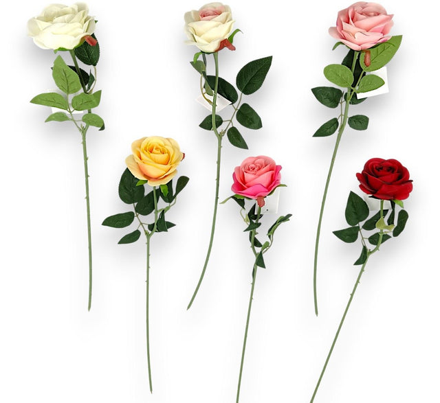 Fir trandafiri 50cm 48buc/pachet culori mixte