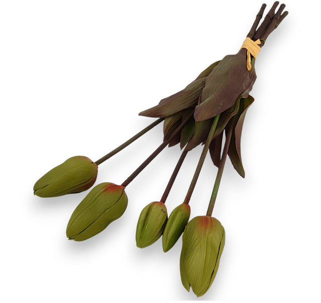 Legatura lalele latex 40cmx5 verde