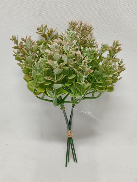 imagine produs Fir eucalipt 21cm S/4 roz-verde
