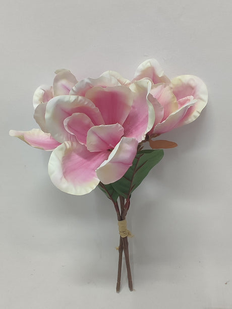 imagine produs Legatura magnolie x3 30cm nalba