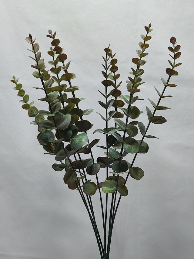 imagine produs Buchet eucalypt x5 H54cm verde