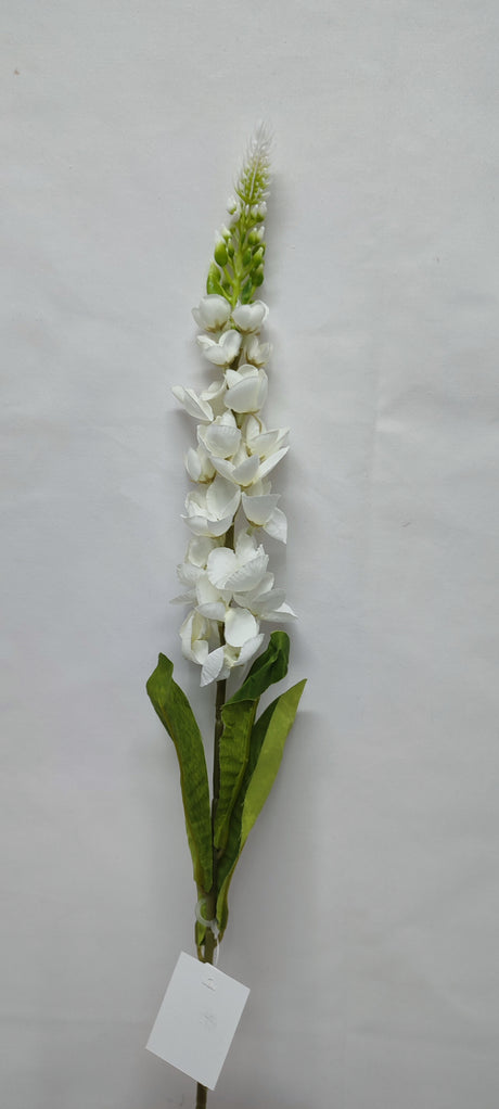 imagine produs Fir lupina H:82cm crem