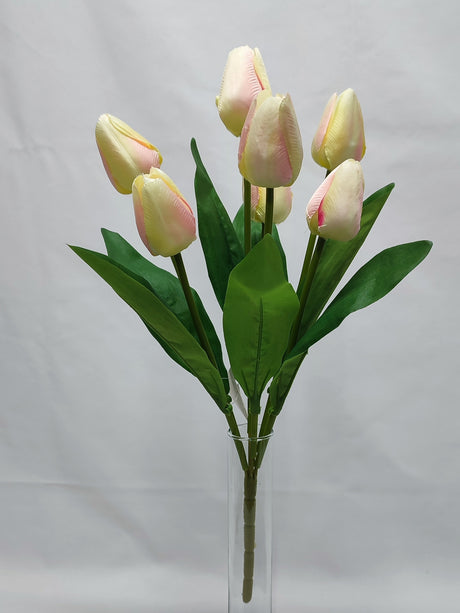 imagine produs Buchet lalele x7 H:43cm crem/roz