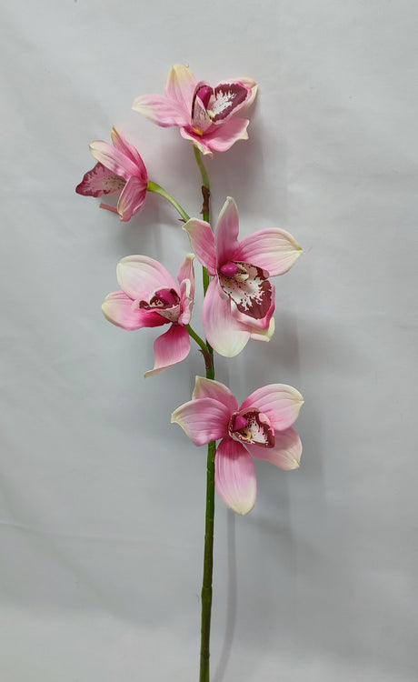 imagine produs Fir orhidee x5 60cm roz
