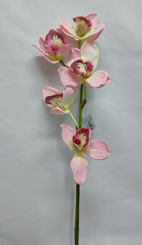 imagine produs Fir orhidee x5 60cm roz deschis