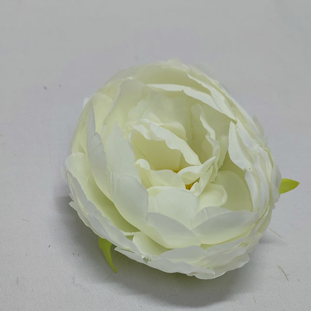 imagine produs Cap peonie 8cm S/24 crem