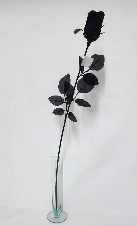 imagine produs Fir trandafir boboci H:74cm negru