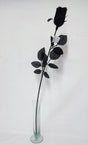 imagine produs Fir trandafir boboci H:74cm negru