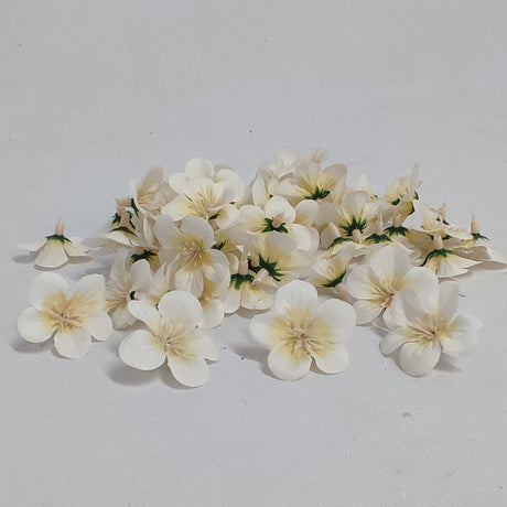 imagine produs Capete floricele 3,5cm 60buc/pachet crem