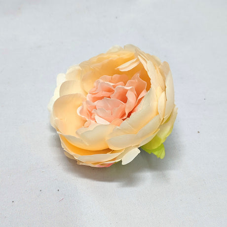 imagine produs Cap peonie 8cm S/24 piersica