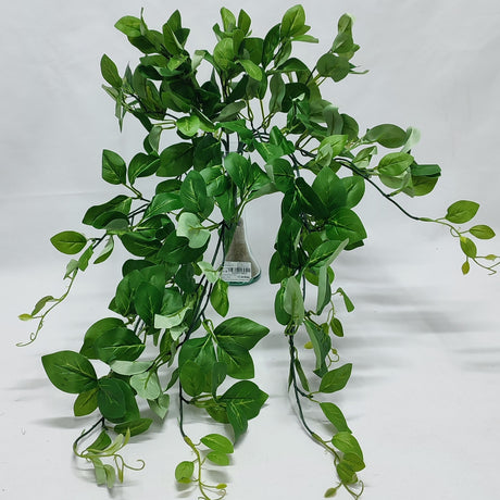 imagine produs Buchet verdeata x5 L:65cm
