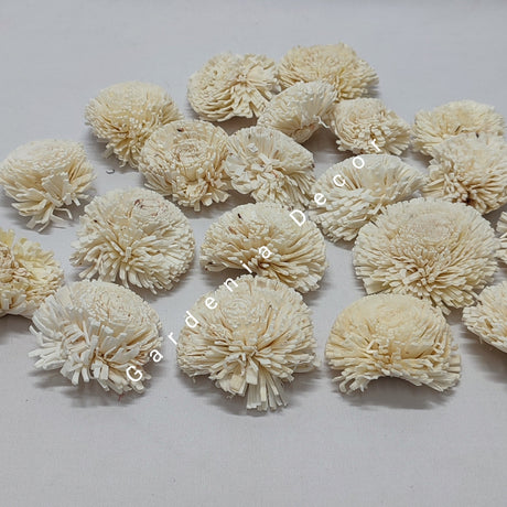 imagine produs Capete crizanteme ming 6cm S/20 natur