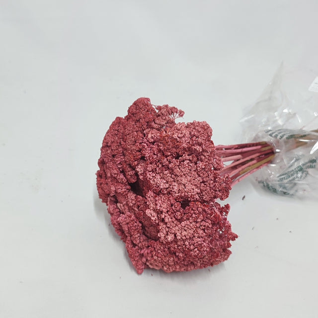 imagine produs Achillea coral