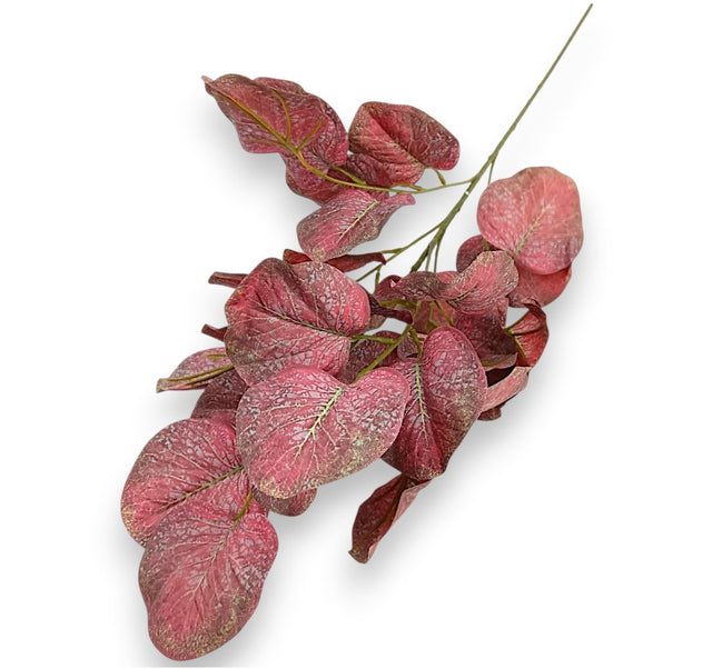 Fir eucalipt x6 80cm bordeaux