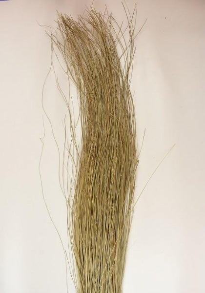 imagine produs Iarba spaghete 120cm