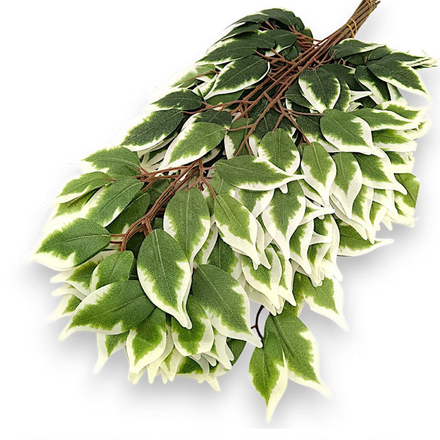 Creanga ficus cu 42 frunze 12buc/pachet crem/verde