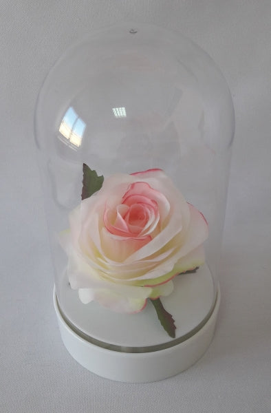 imagine produs Cupola plastic cu talpa 10x16cm 671297-4