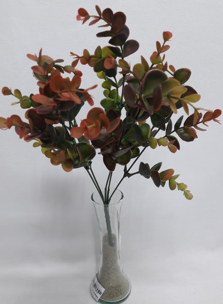 imagine produs Buchet eucalypt x5 portocaliu