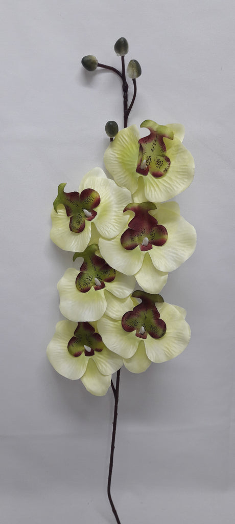 imagine produs Fir orhidee 80cm S/6 verde