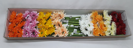 imagine produs Fir gerbera 47cm S/48 culori mixte