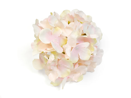 imagine produs Capete hortensie 15cm S/12 piersica