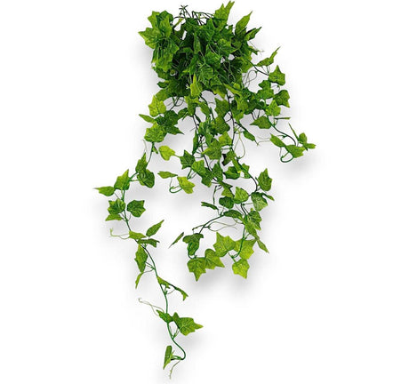 imagine produs Verdeata cu frunze x9 90cm