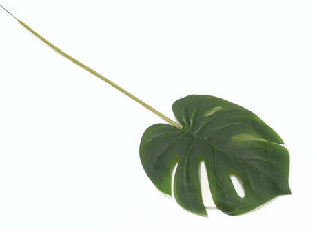 imagine produs Frunze monstera x12 60cm