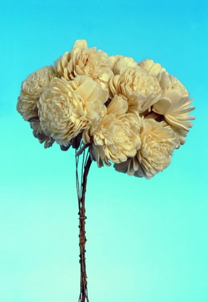imagine produs Floricele ming 5cm