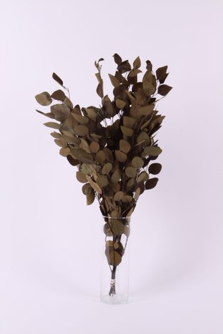 imagine produs Creanga eucalypt 0,2kg/pachet 
