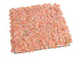 imagine produs Patrat din suculente 25x25cm 54070f