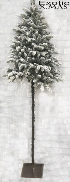 imagine produs Brad art. inzapezit 100/240cm