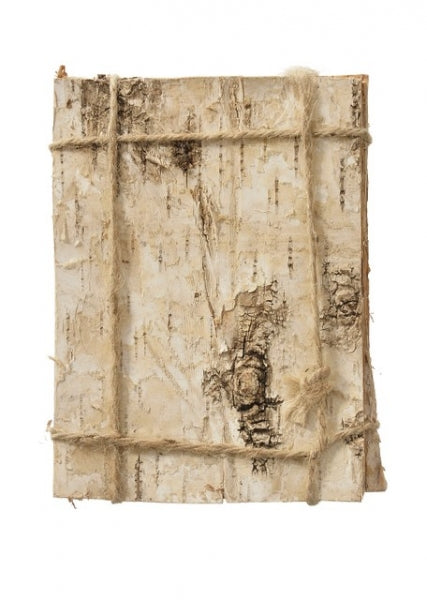 imagine produs Scoarta mesteacan 20x15cm s/8