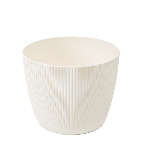 imagine produs Ghiveci Magnolia Jumper 160mm crem