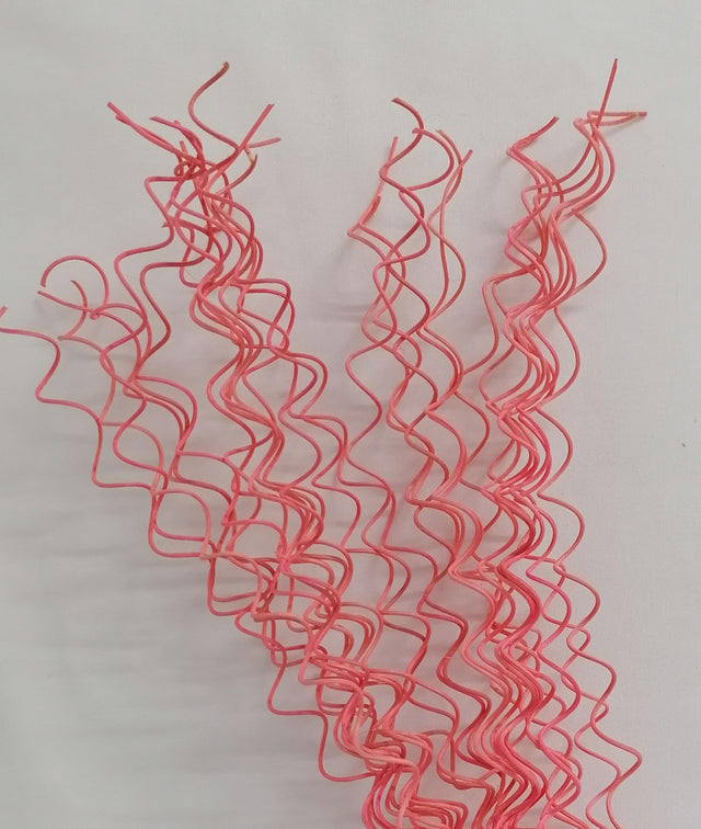 Fir curly S/30 roz