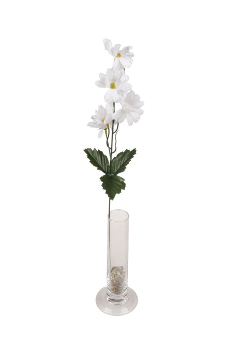 imagine produs Fir margarete 48cm x12