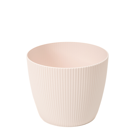 imagine produs Ghiveci Magnolia Jumper 140mm